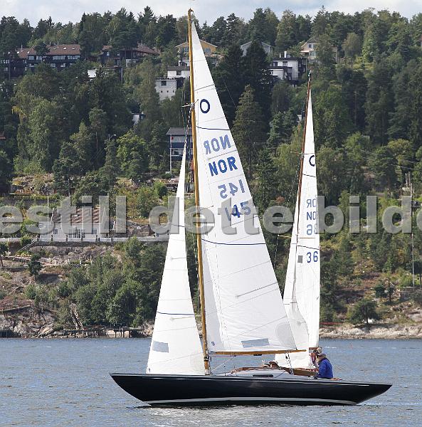 Knarr2011 132.jpg